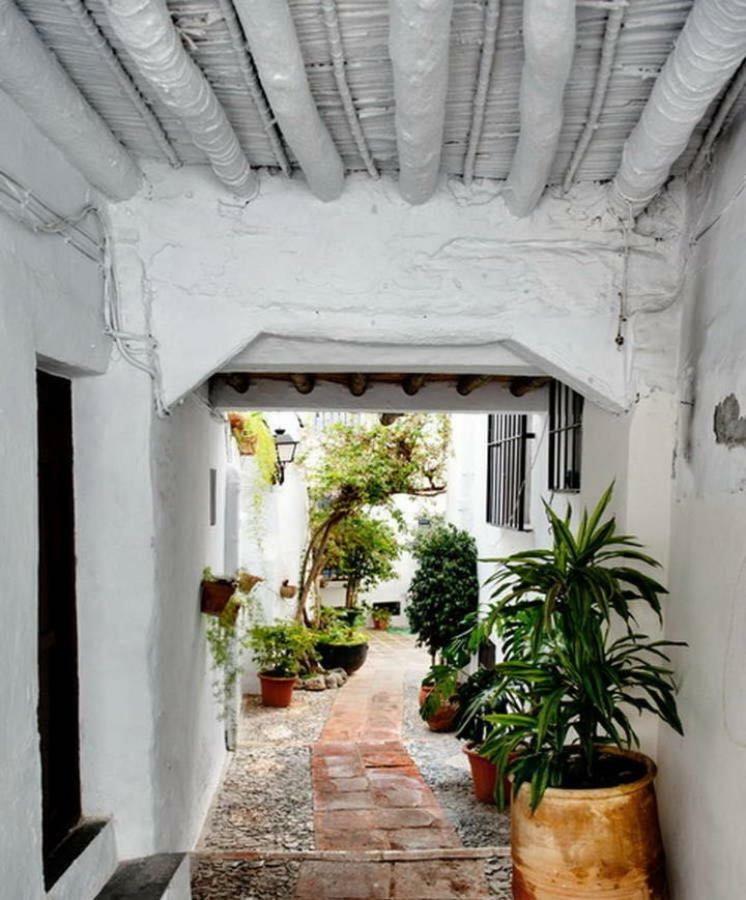 Olivo 15H Apartment Frigiliana Exterior photo