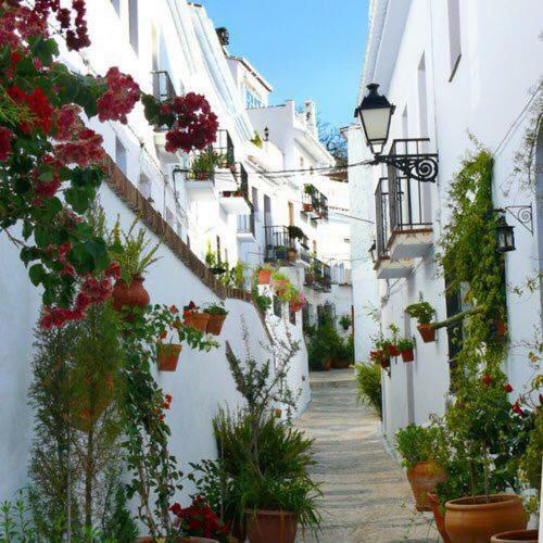 Olivo 15H Apartment Frigiliana Exterior photo